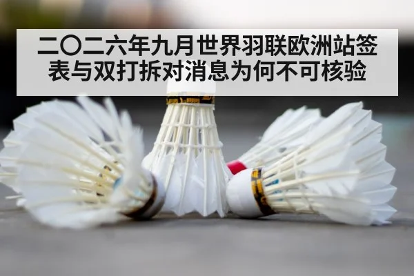 badminton shuttlecock close up