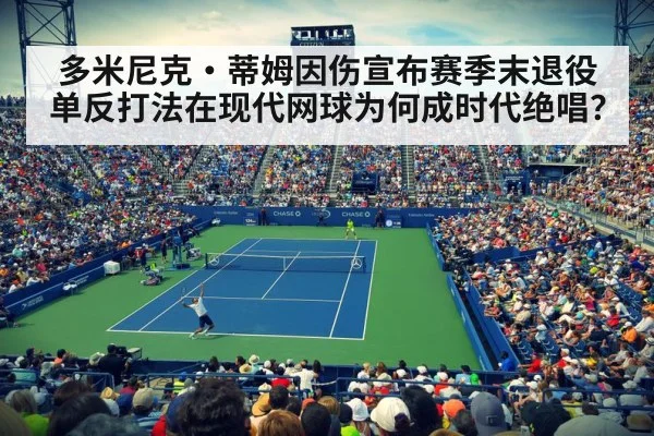 professional tennis match