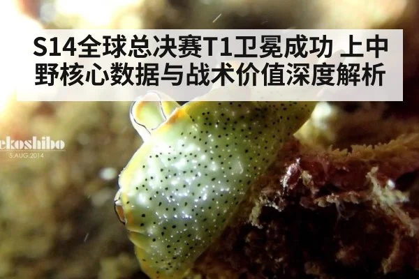 S14全球总决赛T1卫冕成功 上中野核心数据与战术价值深度解析